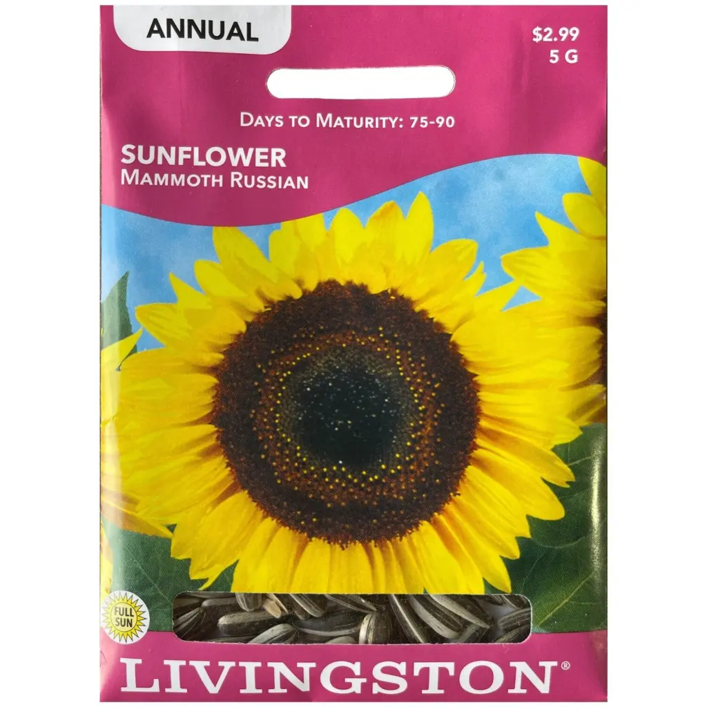 Livingston Seed Sunflower Mammoth Russian 5 g - Giant Sunflower Seeds Birds