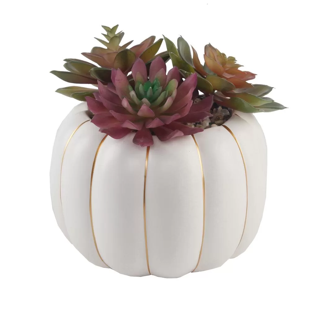 Flora Bunda 8 Inch Fall Harvest Artificial Succulents Cream Ceramic Pumpkin Pot
