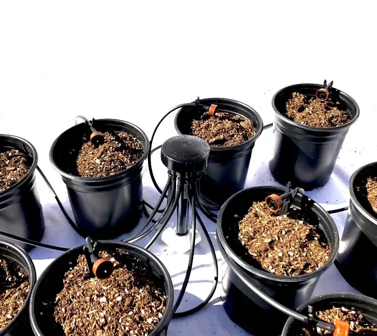12 Plant Drip Irrigation Home Grow Kit - Emitters