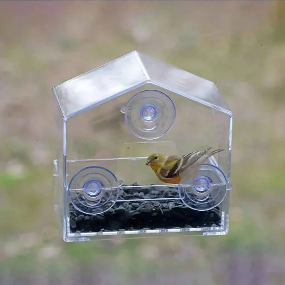 Crystal Window Bird Feeder, 1/2 lb Seed