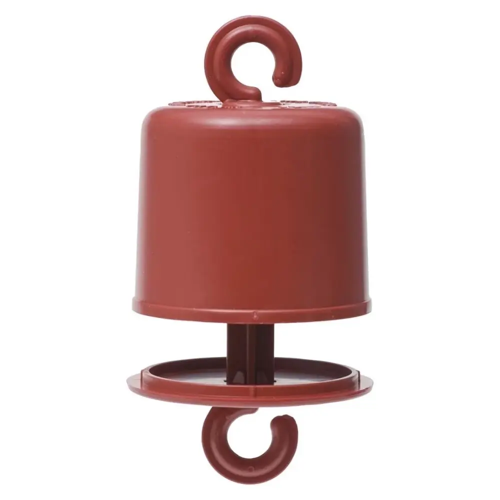 Perky-Pet Ant Guard Hummingbird Feeders Prevent Ants from Reaching Nectar