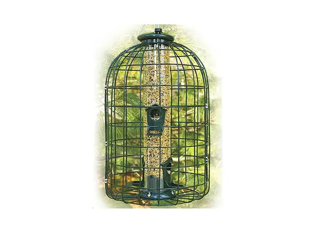 Audubon Caged Squirrel Resistant Tube Bird Feeder 1.25 Lbs Small Birds