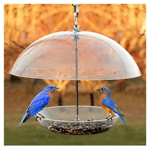 Audubon Dome Top Seed & Bluebird Bird Feeder 11.75 Inches Garden Use