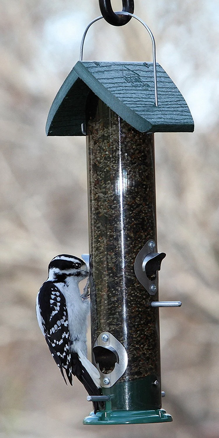 Audubon Going Green Mixed Seed Tube Bird Feeder 18 Inches 2 Lbs Capacity