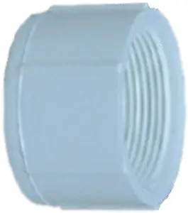 2 Inch FIP PVC Cap Plumbing and Pipe Fittings Lasco