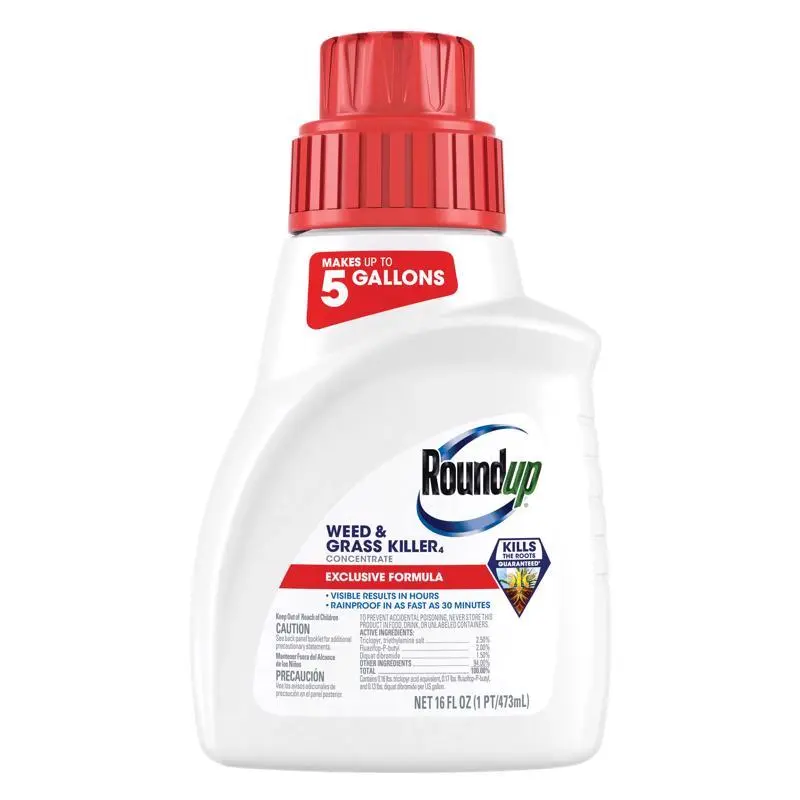Roundup Weed and Grass Killer Concentrate 16 oz Pack 12 Herbicide Lawns