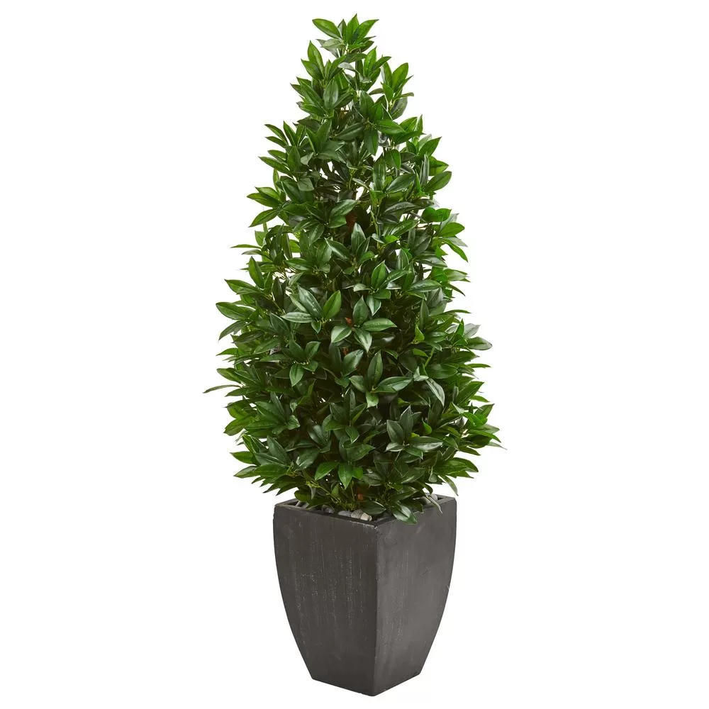 Nearly Natural 56 Inch Bay Leaf Cone Topiary Artificial Tree Black Planter Indoor Outdoor