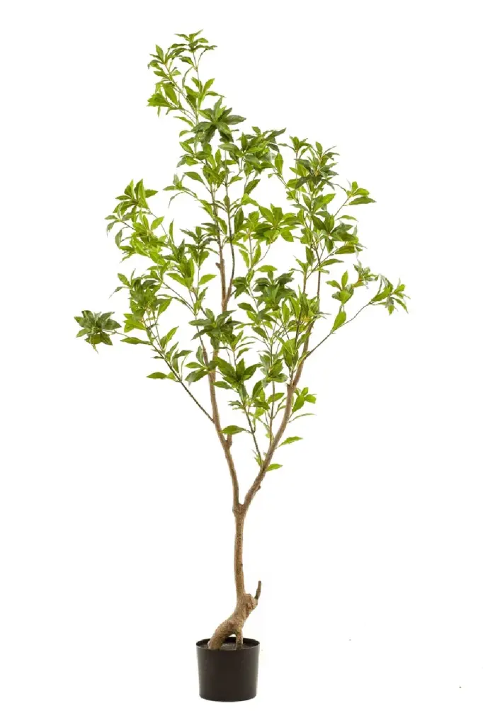 2 Pack Green Faux Trees Artificial Tea Leaf Home Office Decoration