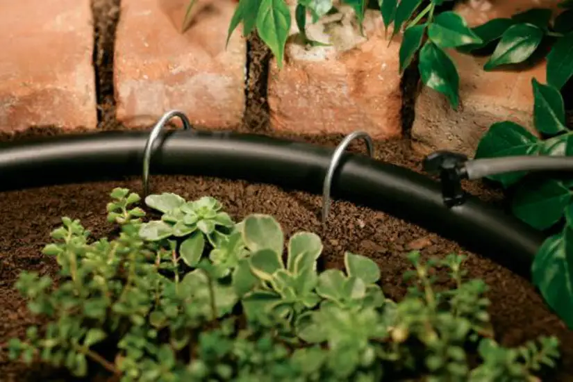 Orbit 67347 Universal Distribution Tubing 1/2 x 500' Drip Irrigation Systems