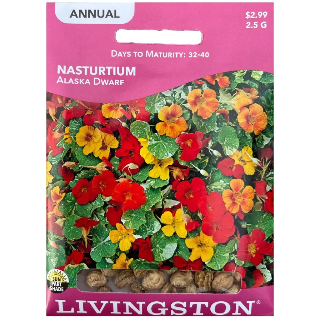 Livingston Seed Nasturtium Alinquirea Dwarf 2.5 g - Compact Edible Flower Seeds