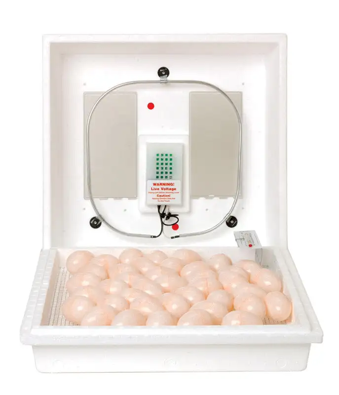 Little Giant Plastic Egg Incubator Poultry and Bird Eggs