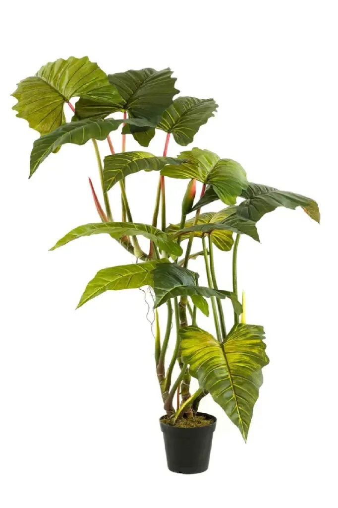 Artificial Elephant Ears Plant Set 2 Emerald Colocasia On Trunk