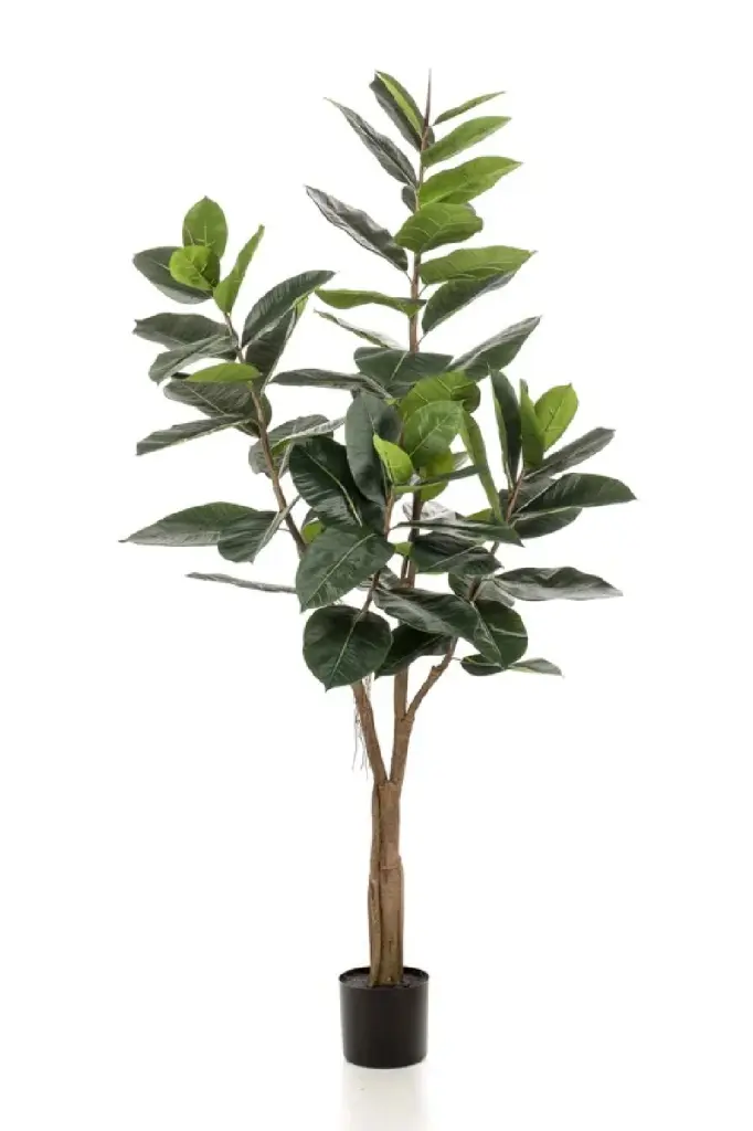 Potted Faux Tree Set 2 Emerald Ficus Elastica Artificial Plants
