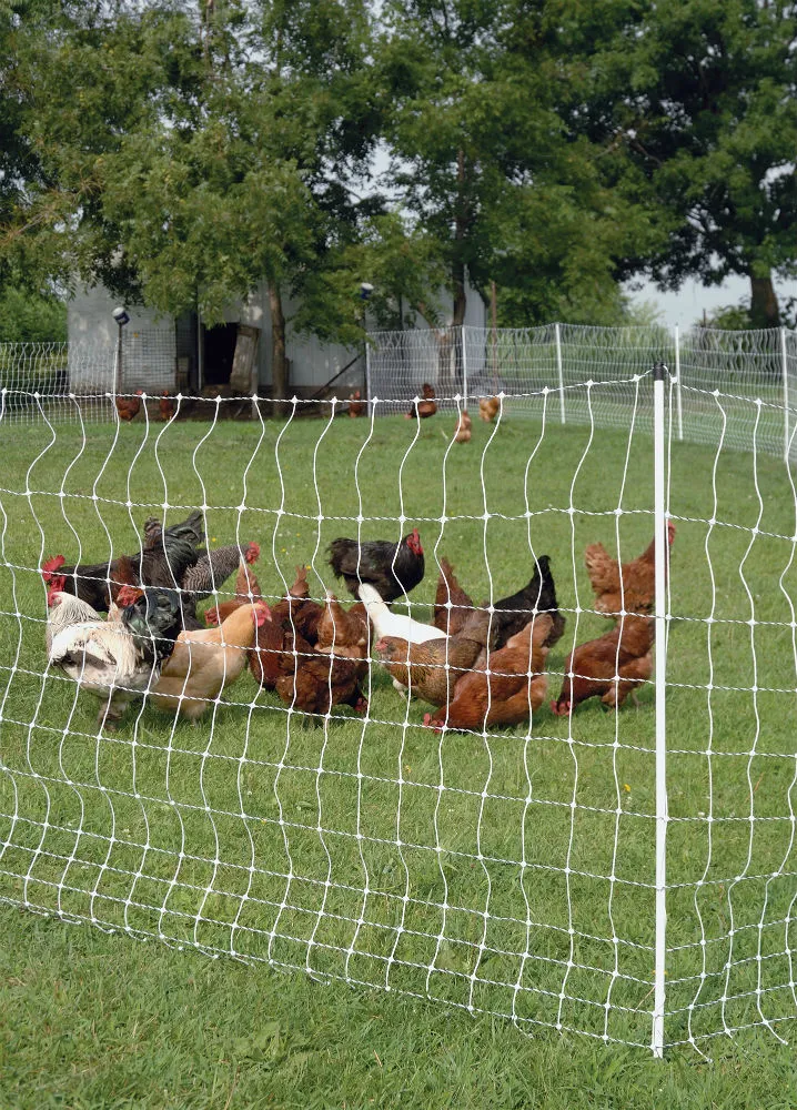 Gallagher A207015 All--1 Poultry Netting 48 x 164 ft