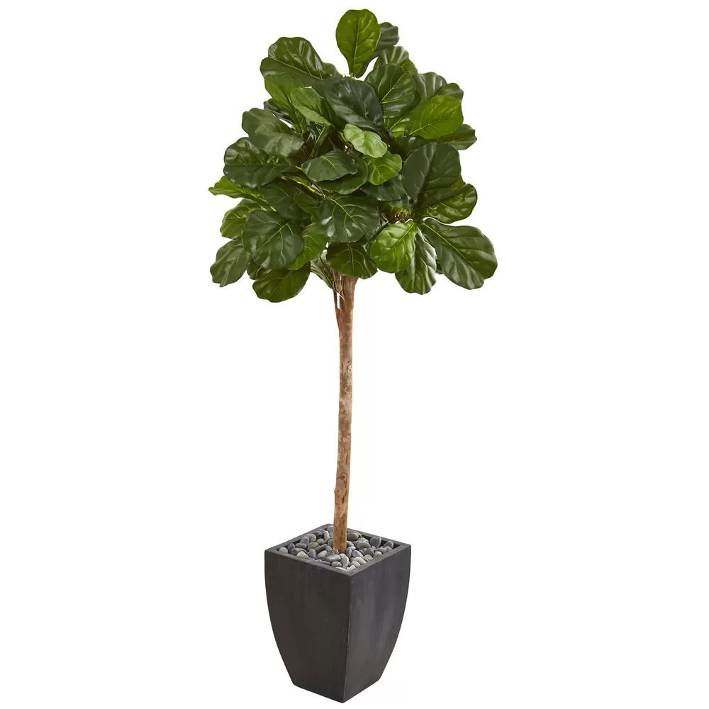 Nearly Natural 71 Inch Fiddle Leaf Fig Artificial Tree Black Planter Indoor Decor