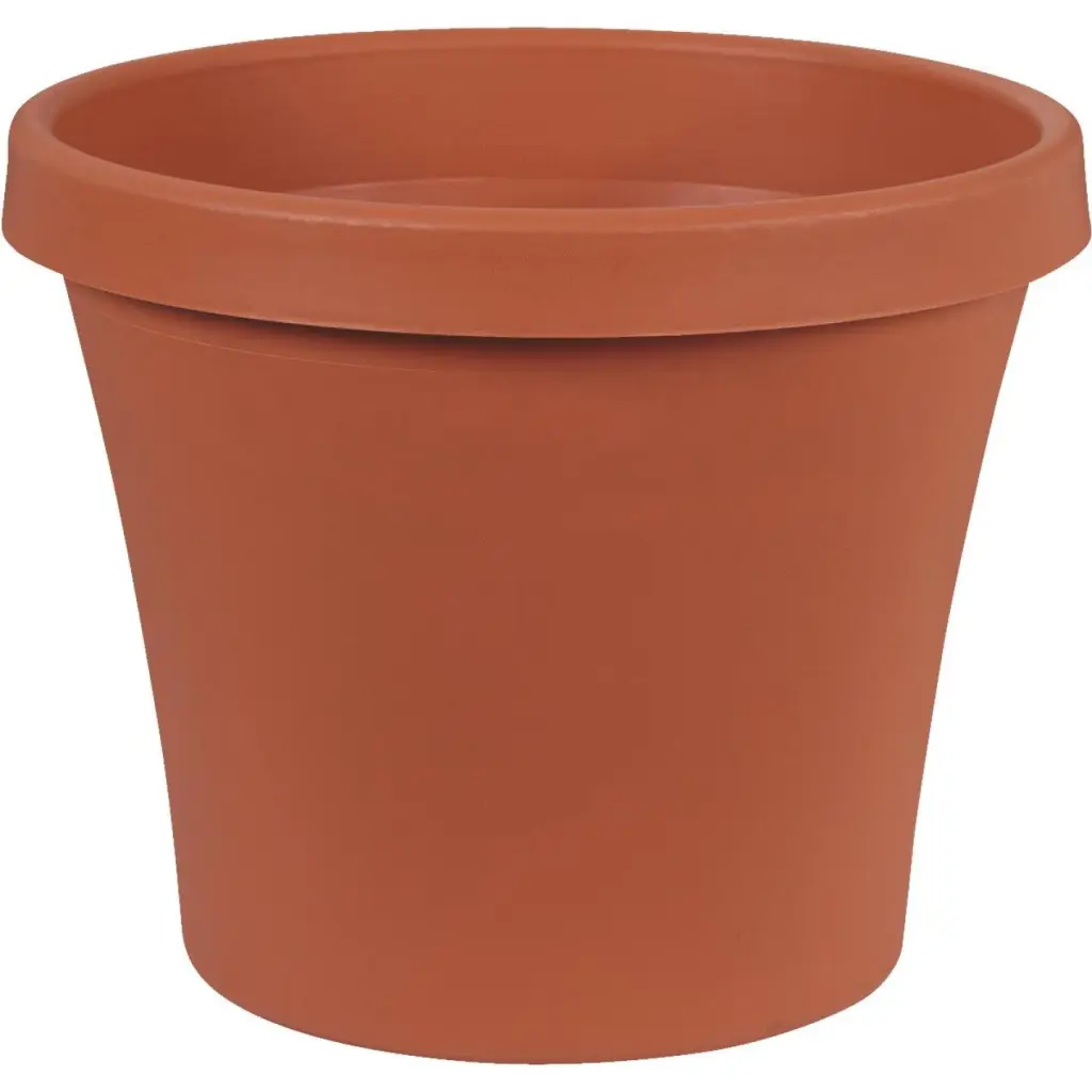 Bloem 6-Inch Diameter Terracotta Poly Classic Flower Pot