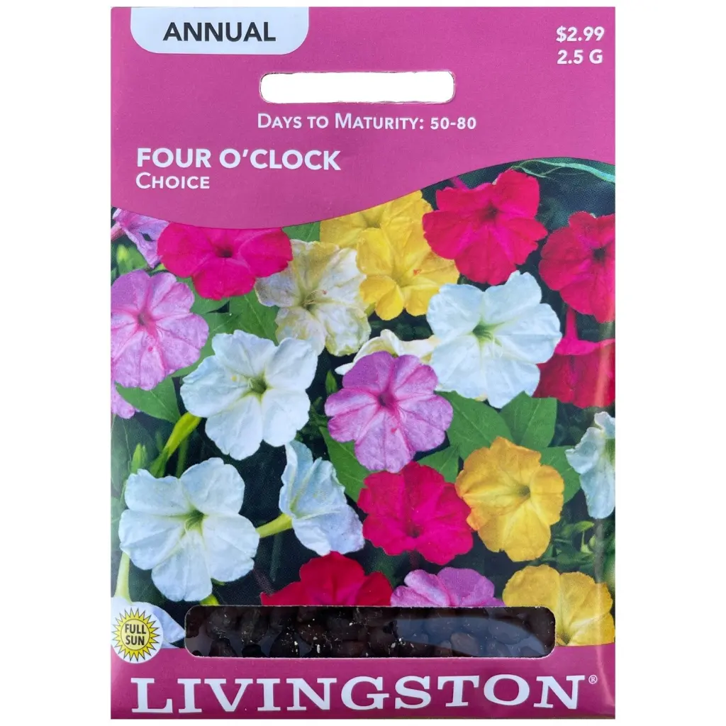 Livingston Seed Four O'Clock Choice 2.5 g Fragrant Flower Seeds Outdoor Gardens