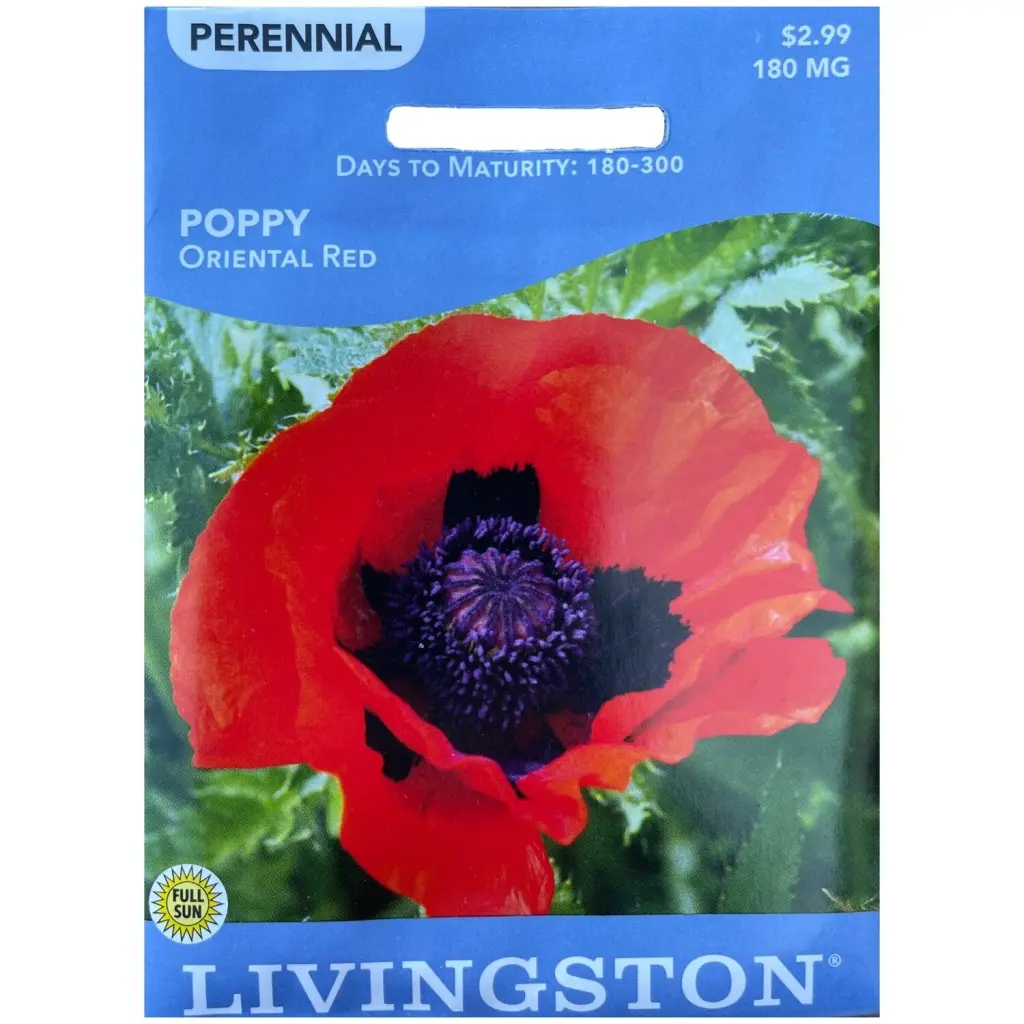 Livingston Seed Poppy Oriental Red 180 mg - Vibrant Flower Seeds Outdoor Planting