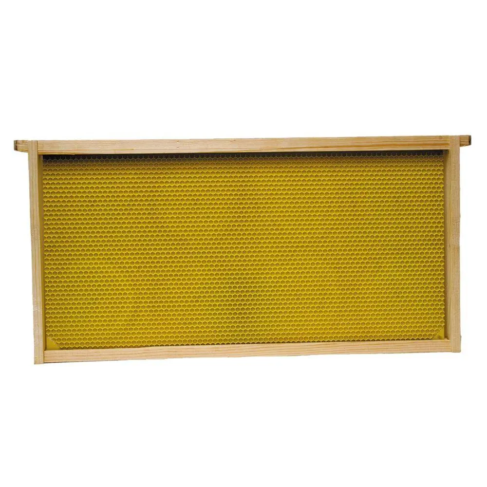 Harvest Lane Honey Deep Brood Frame Foundation Assembled 5-Pack WWFFD-101-5