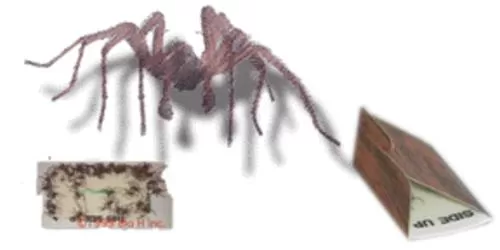 Victor M293 Hobo Spider Trap Package 4 Glue Boards Spider Control