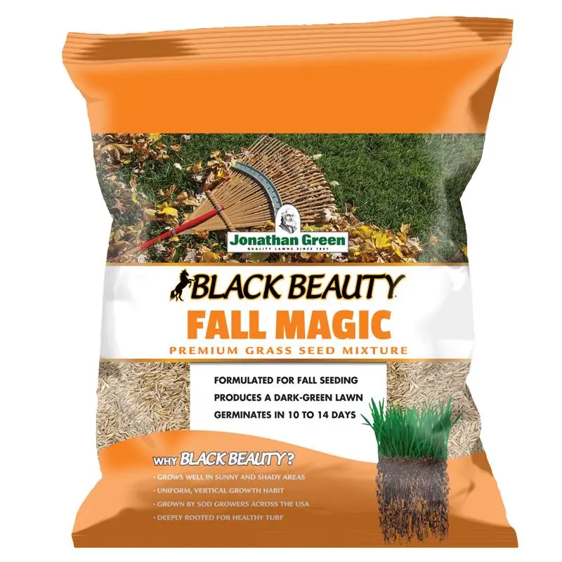 Black Beauty Fall Magic Grass Seed 7 Lb Lush Green Lawn