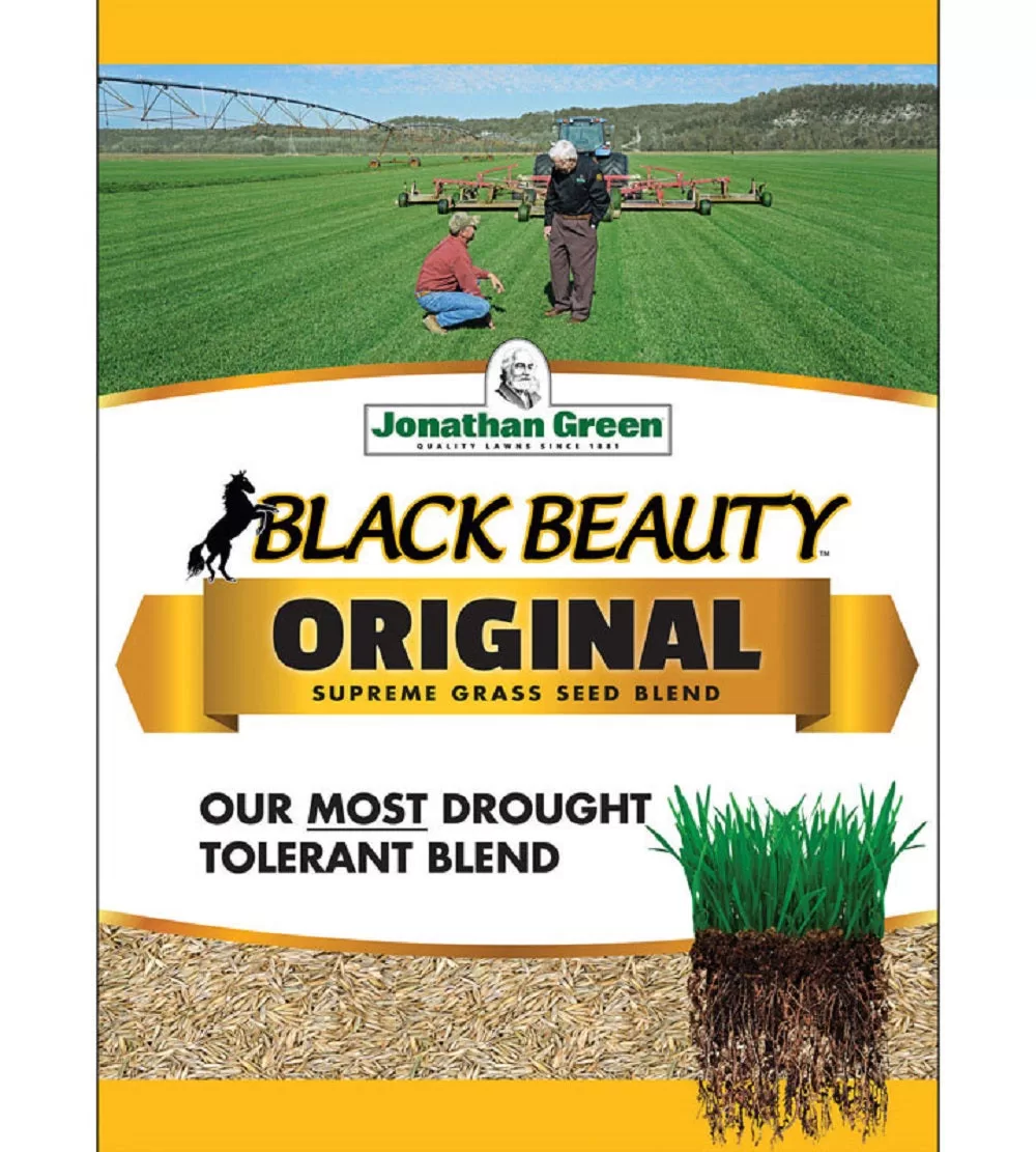 Jonathan Green 10315 Black Beauty Grass Seed 25 Lbs Lawn Planting