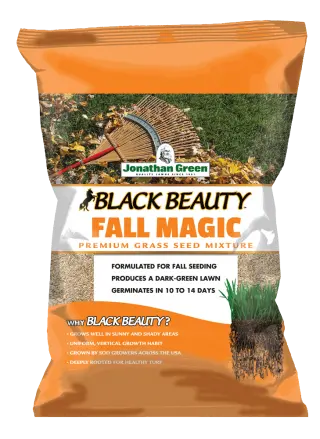 Jonathan Green Black Beauty Fall Magic Grass Seed Lawns