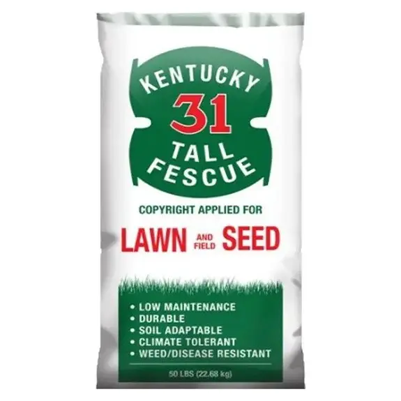 Kentucky 31 Tall Fescue 50 lb - Drought-Resistant Grass Seed Lawns Varies