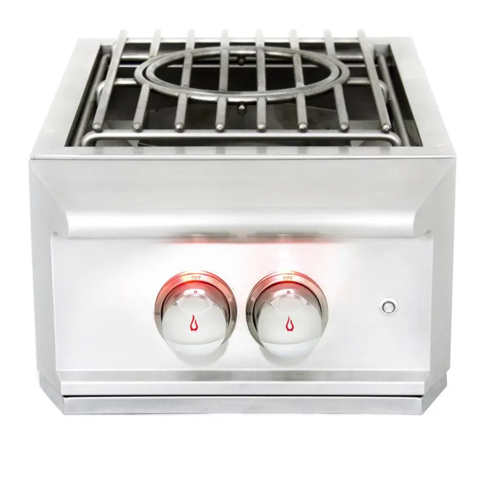 BLZ-PROPB-LP/NG Blaze Specialist Built- Power Burner Lights