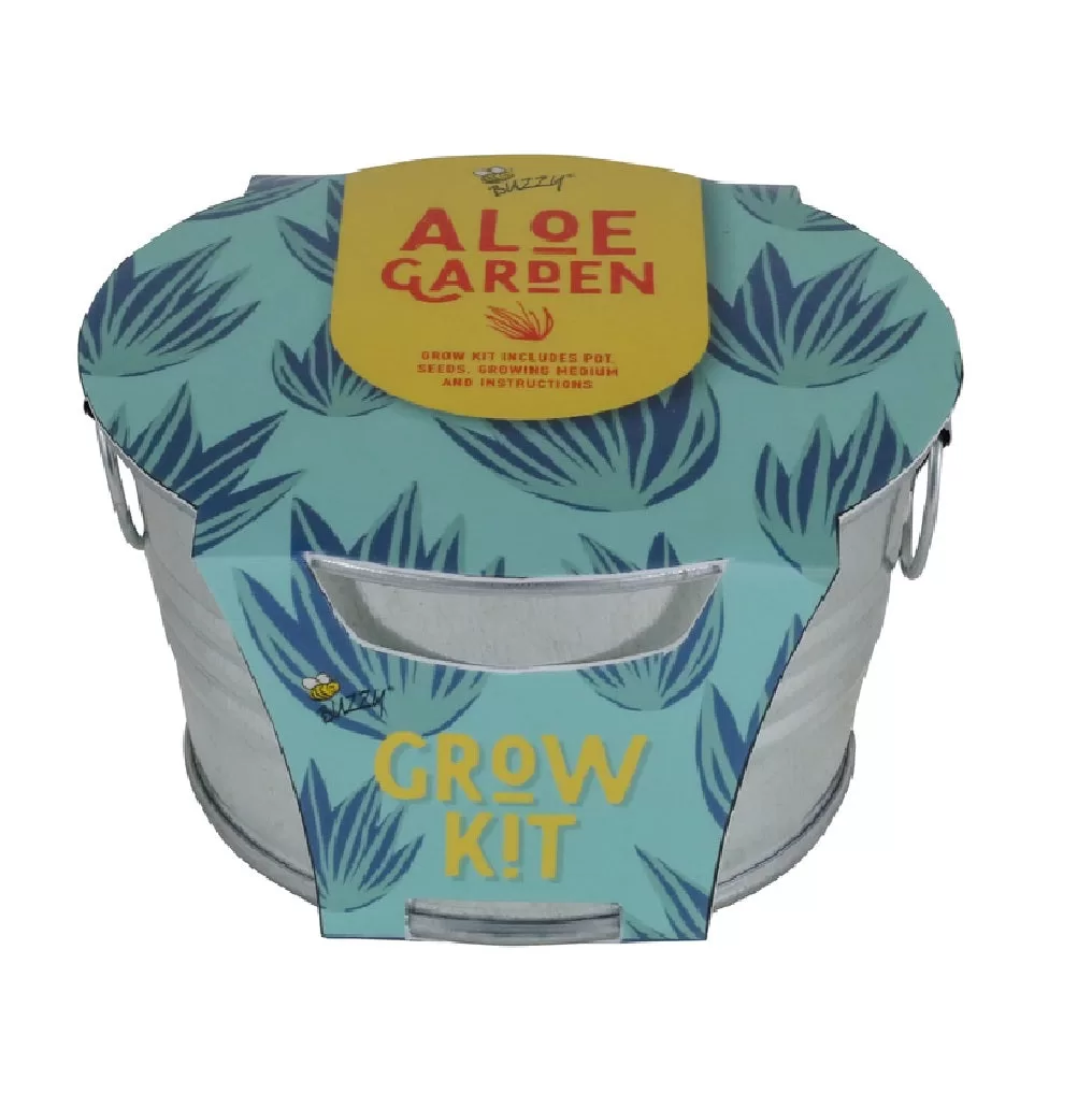 Buzzy 96458 Succulent Aloe Grow Kit Mini Indoor Plant Kit