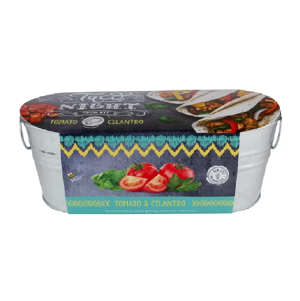 Buzzy 96594 Windowsill Tomato and Cilantro Grow Kit Indoor Herb Garden