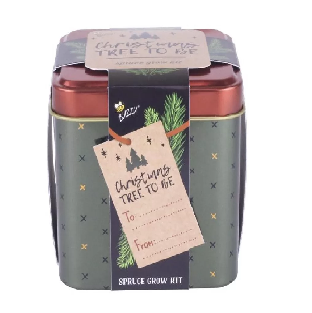 Buzzy Seeds 22024 Festive Tin Spruce Tree Grow Kit Indoor Gardening Gift