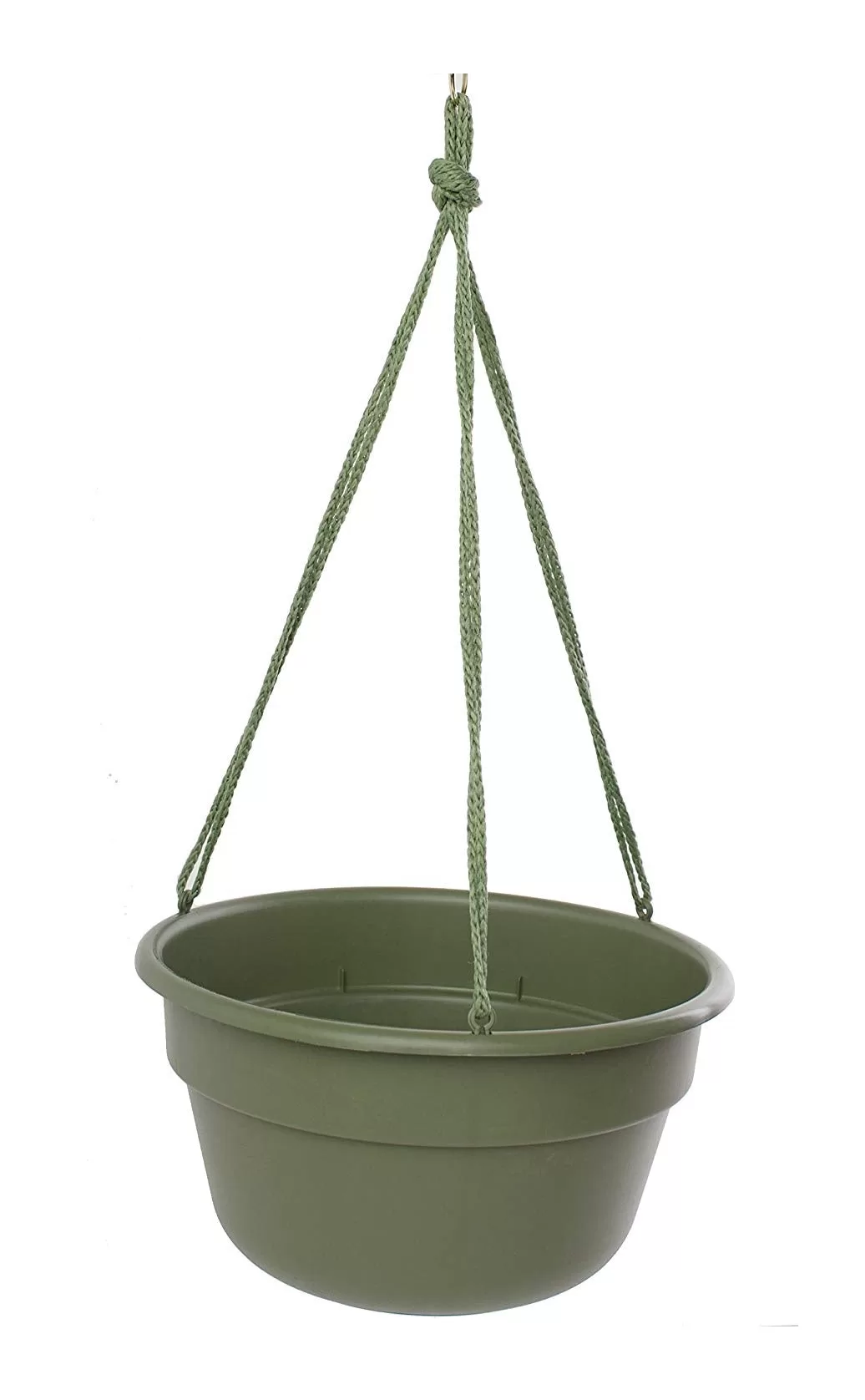 Bloem Dura Cotta Hanging Basket 12 Inch Living Green Flowers