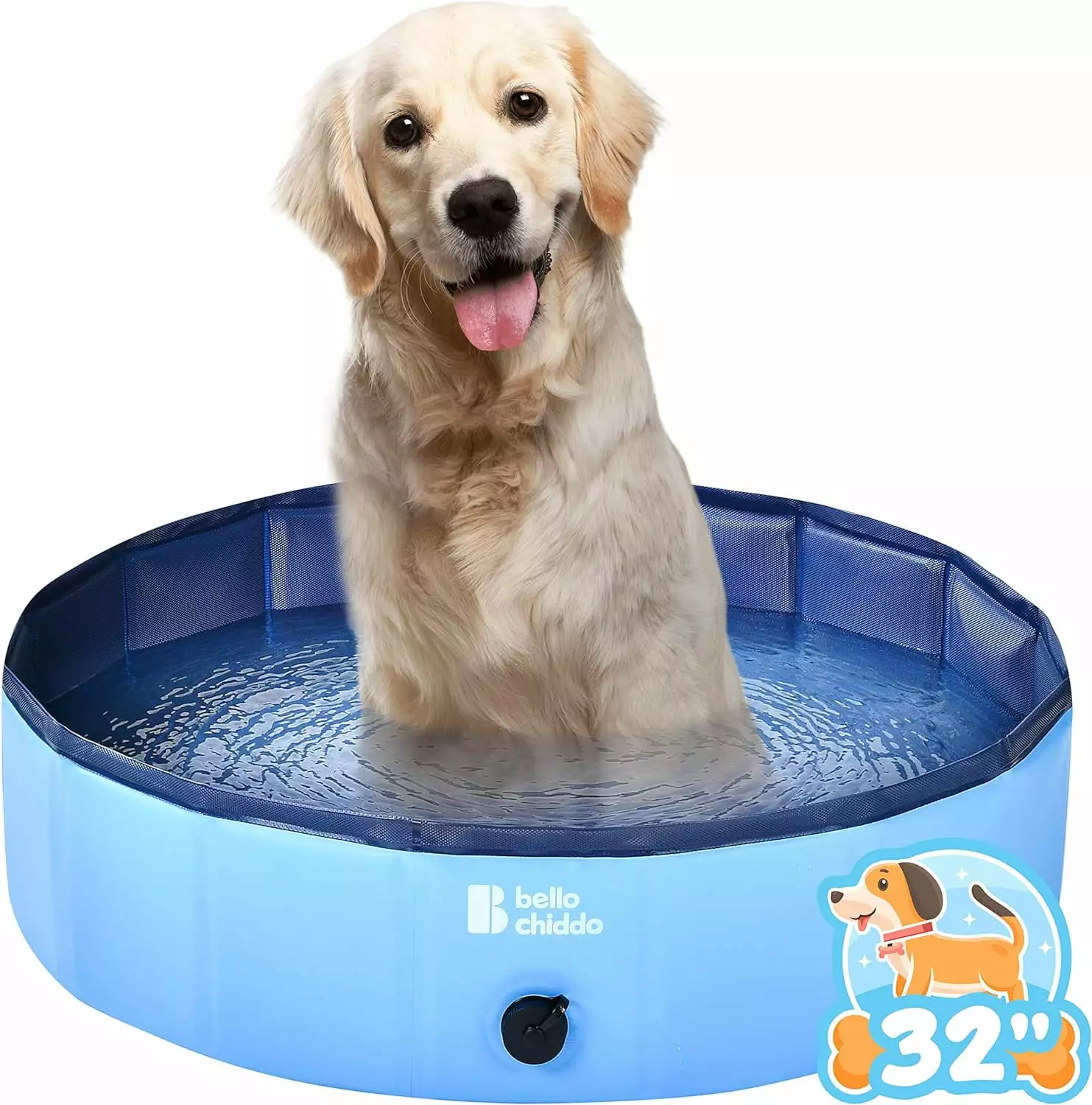 Young Choi's Hard Plastic Above Ground Swimming Pool Pets and Kids