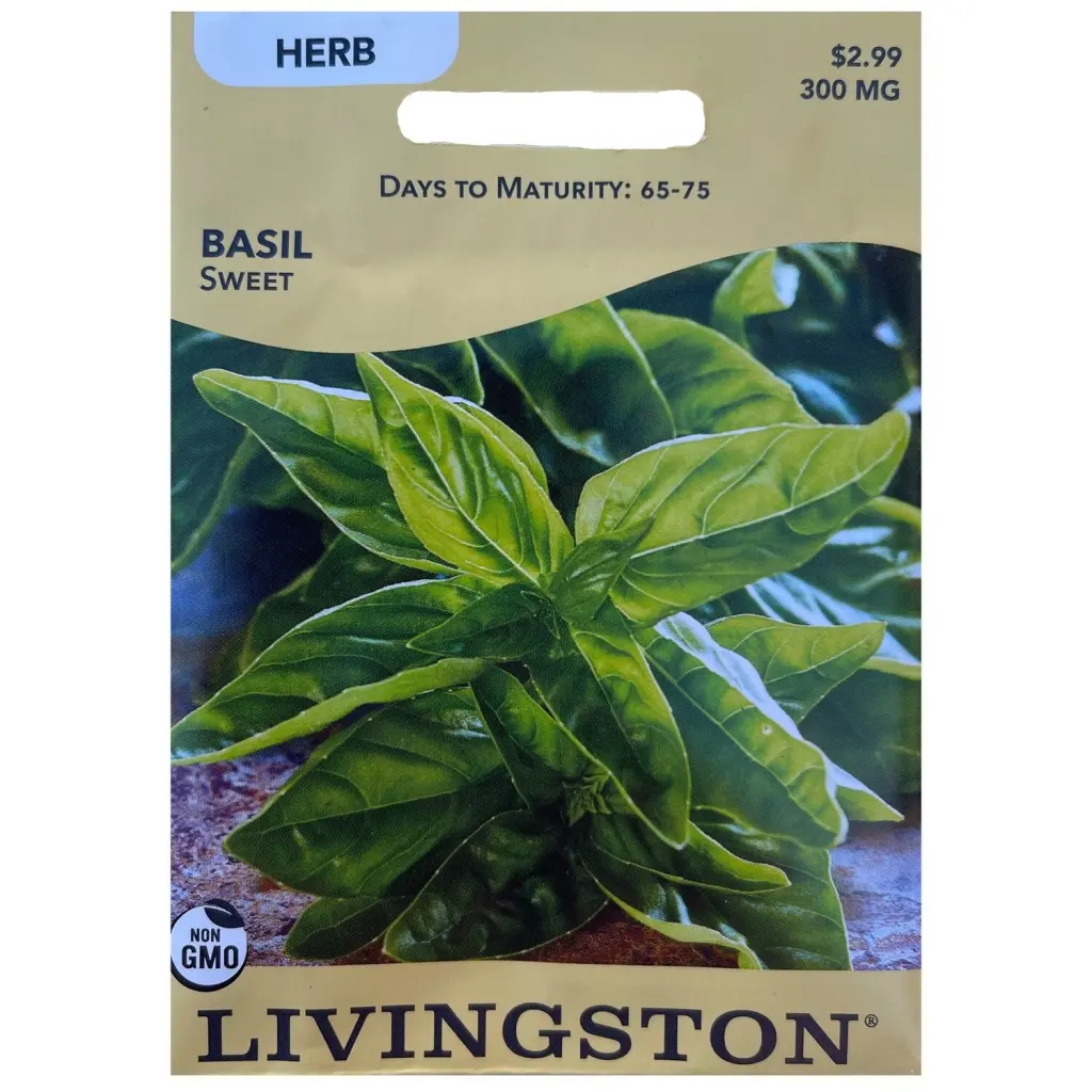 Livingston Seed Basil Sweet 300 mg Aromatic Herb Seeds Garden