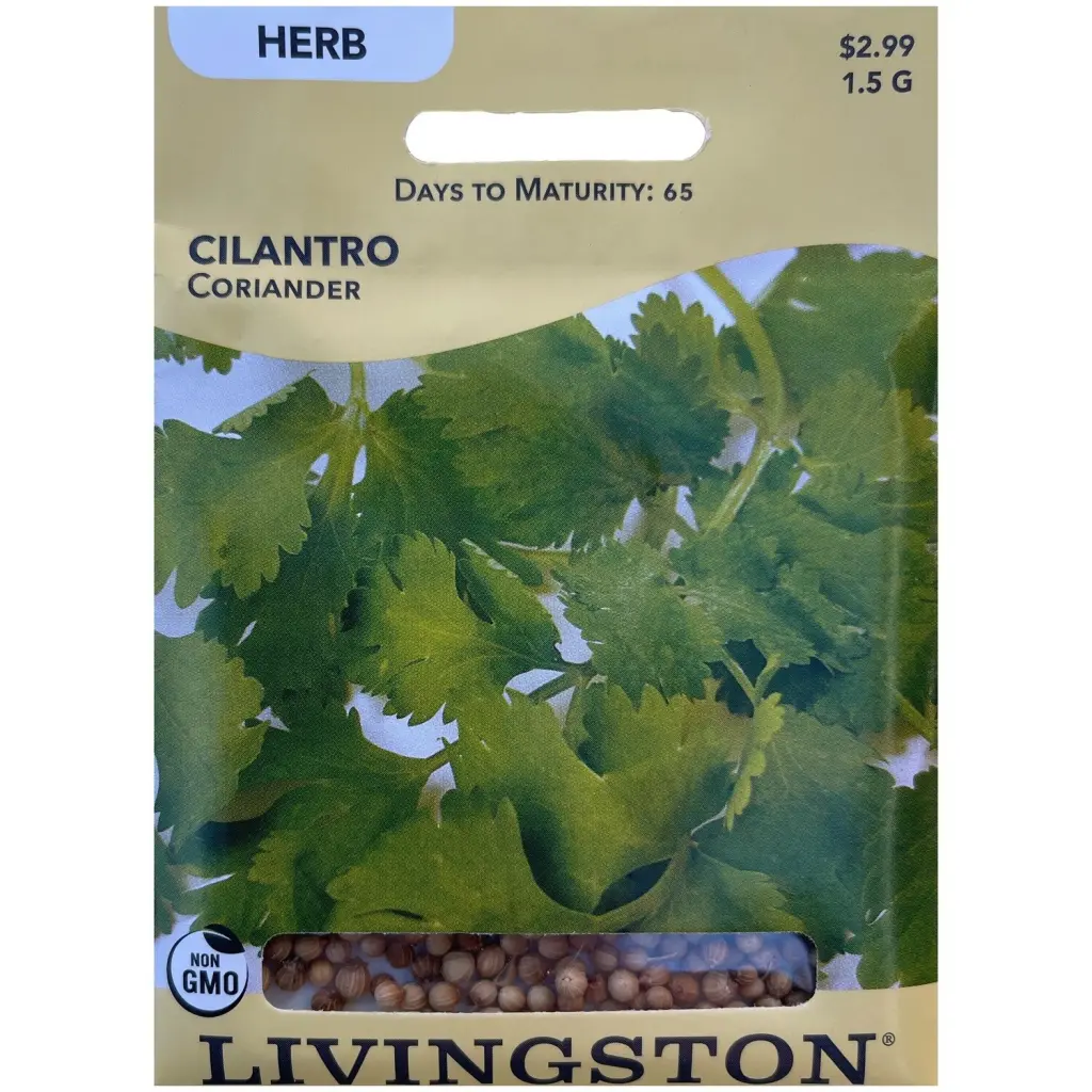 Livingston Seed Cilantro Coriander 1.5 g High Yield Herb Seeds