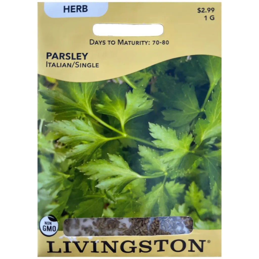 Livingston Seed Parsley Italian Single 1 g Fresh Herb Seeds