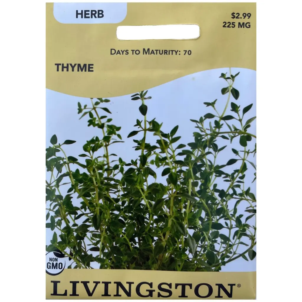 Livingston Seed Thyme 225 mg Premium Herb Seeds Gardening