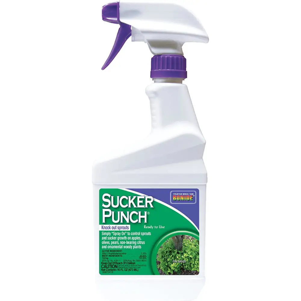 Bonide 2761 Sucker Punch Knock Out Sprouts Ready To Use 1 Pint