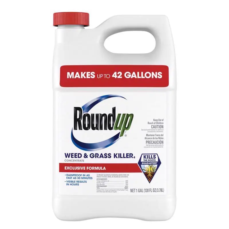 Roundup Weed and Grass Killer Concentrate 1 Gallon