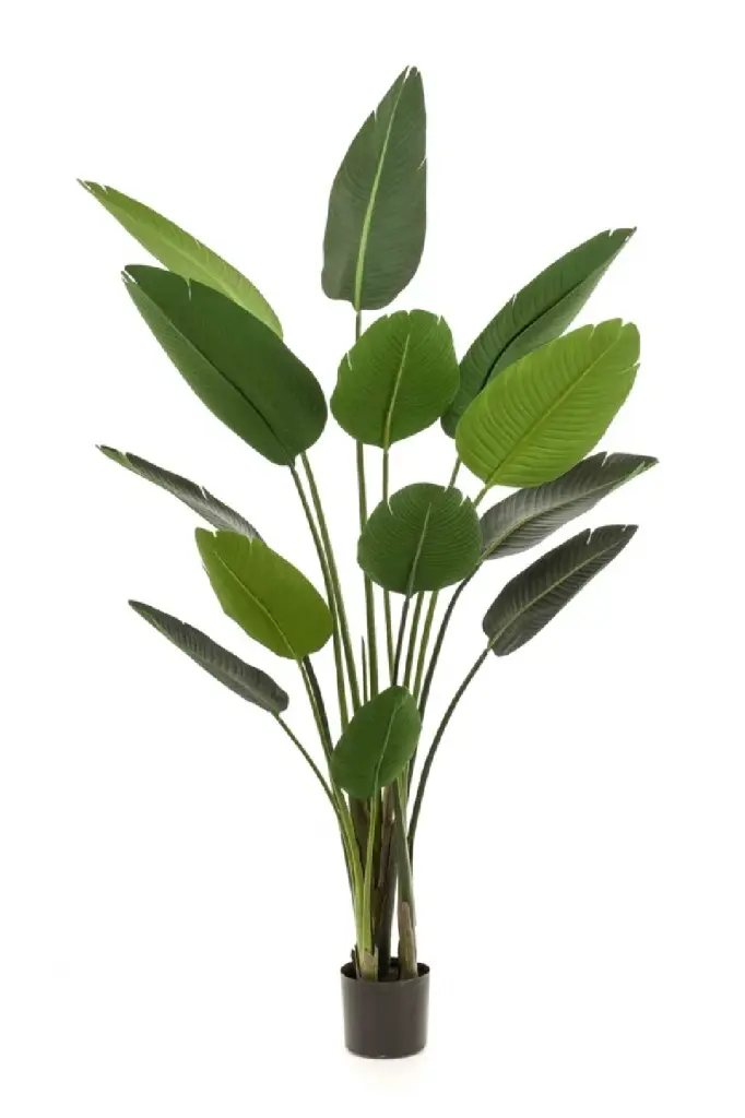 Potted Faux Houseplant Set 2 Emerald Strelitzia Artificial Decor
