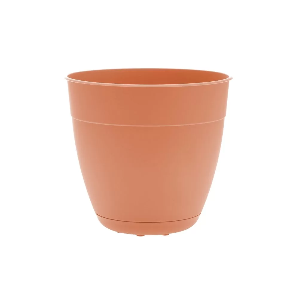 Bloem DAY0621 Coral Dayton Plastic Planter 6 Inch Indoor Plants