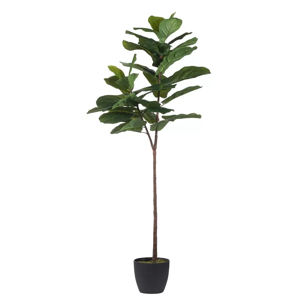 & B Home Fiddle Leaf Green Fig Tree Stylish Home Decor