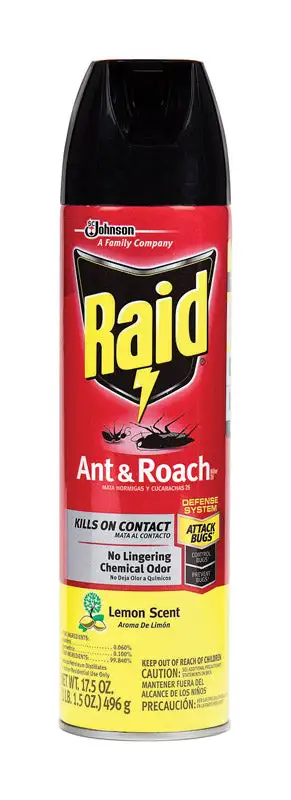 Raid Aerosol Insect Killer 17.5 oz Pack 12 Large Area Pest Control