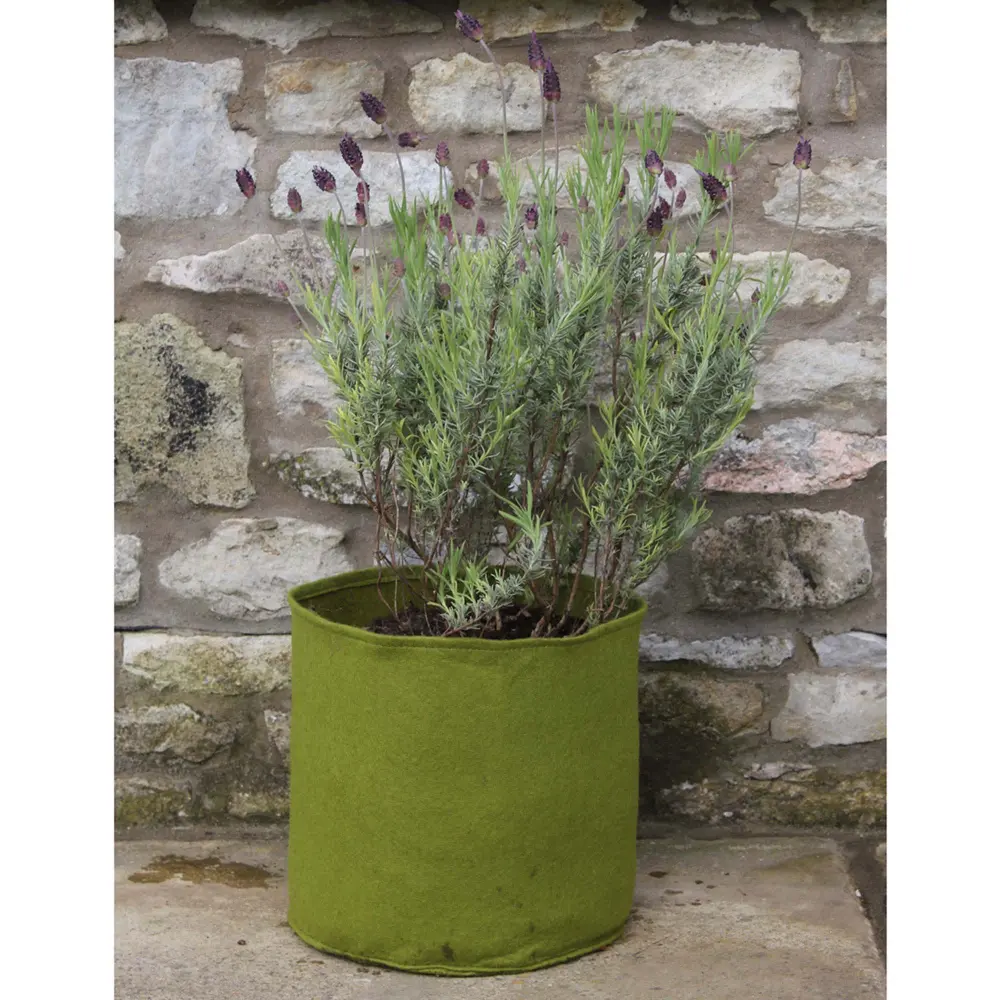 10 L Vigoroot Planter, 3 pots 10''