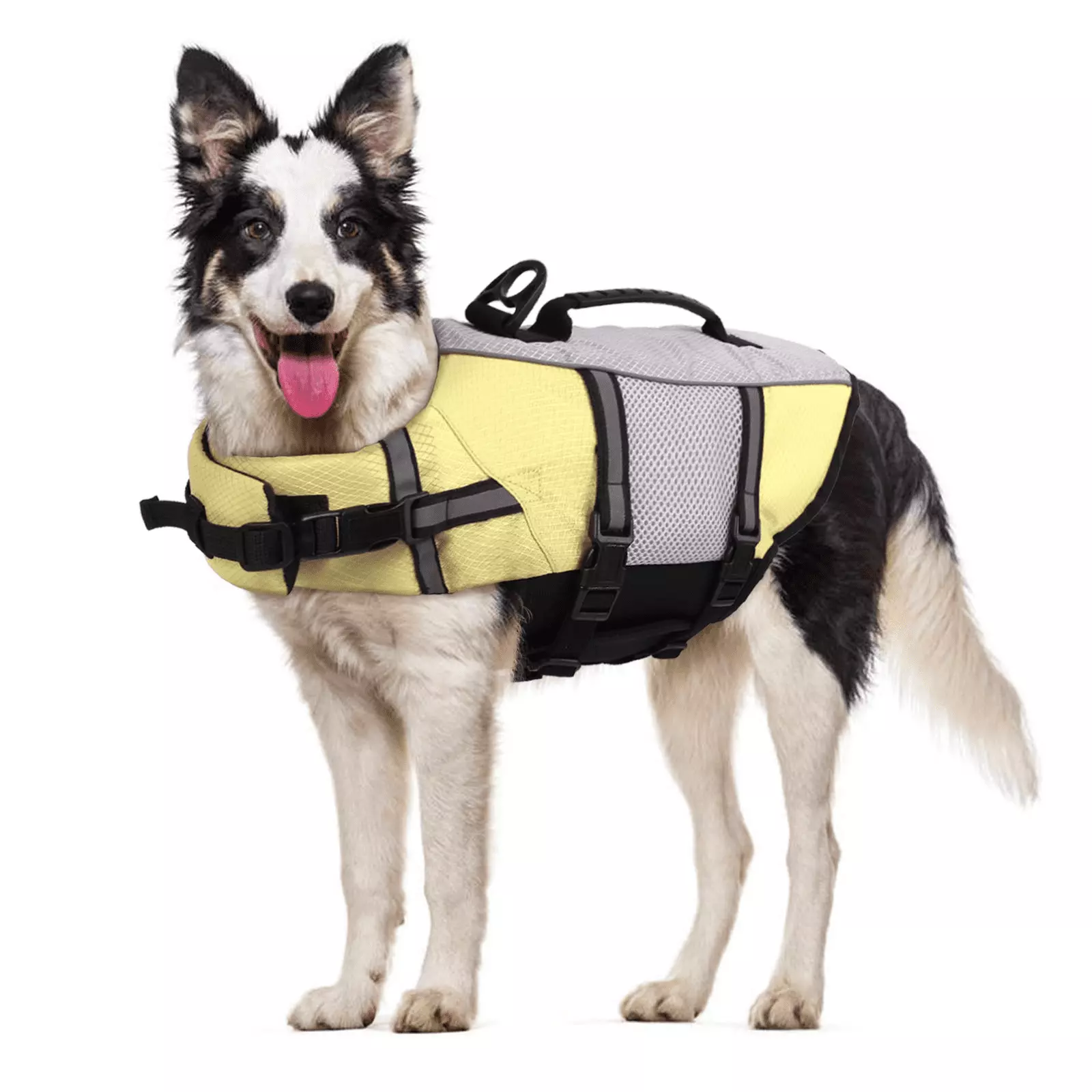 QBLEEV Dog Life Jacket Pet Life Vest Swimming Pool Float Coat L