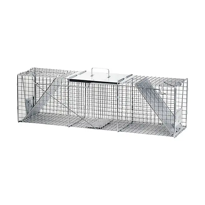 Havahart 2-Door Live Raccoon/Opossum Cage Trap X-Large 1050