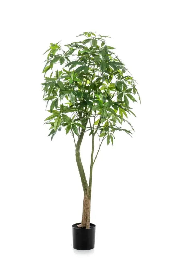 2 Pack Medium Artificial Money Trees Faux Pachira Floor Corner Decor