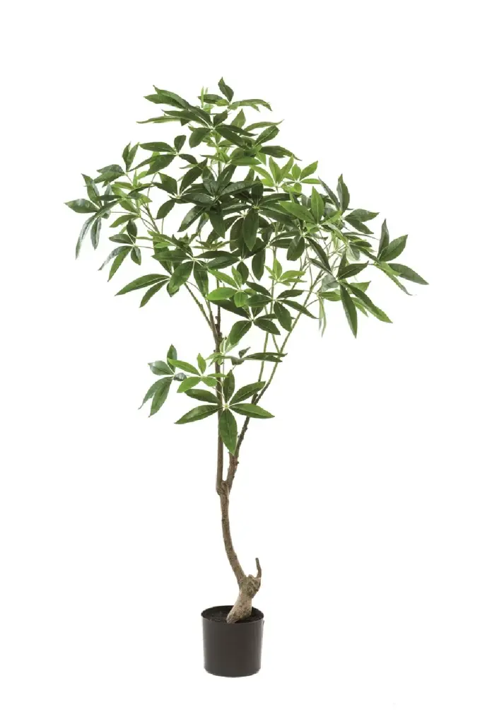 2 Pack Small Artificial Money Trees Faux Pachira Desk Table Decor