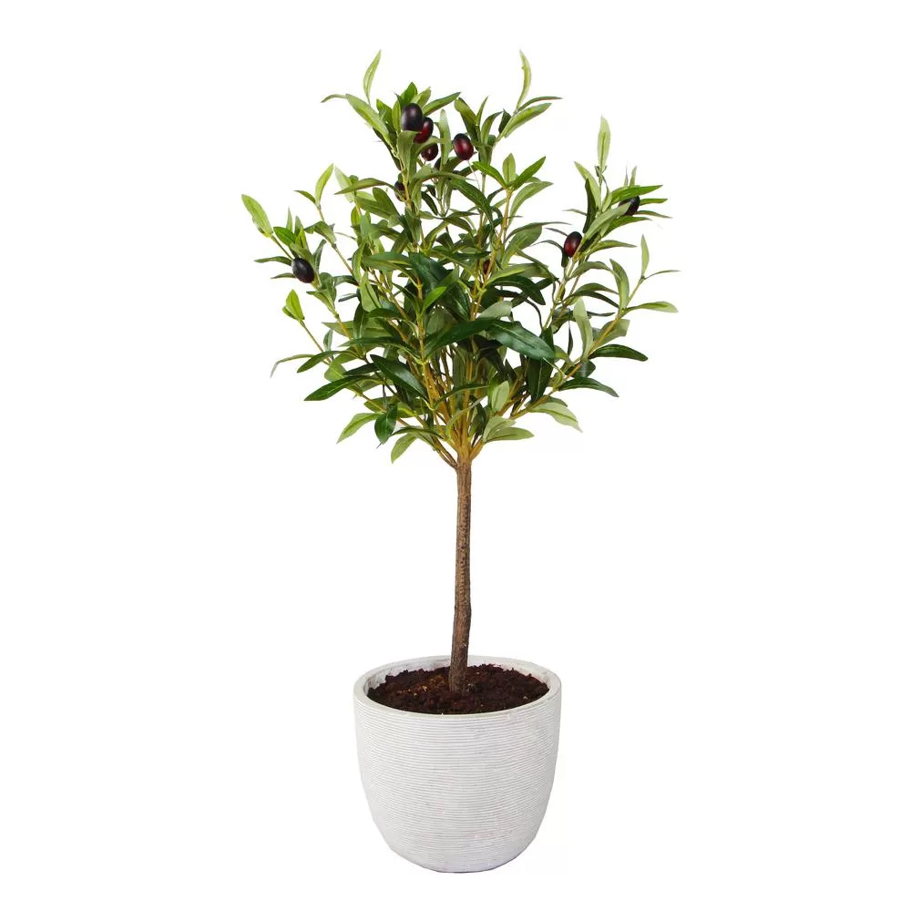 Flora Bunda 28 . Faux Olive Tree Gray Cement Pot Home Office Decor